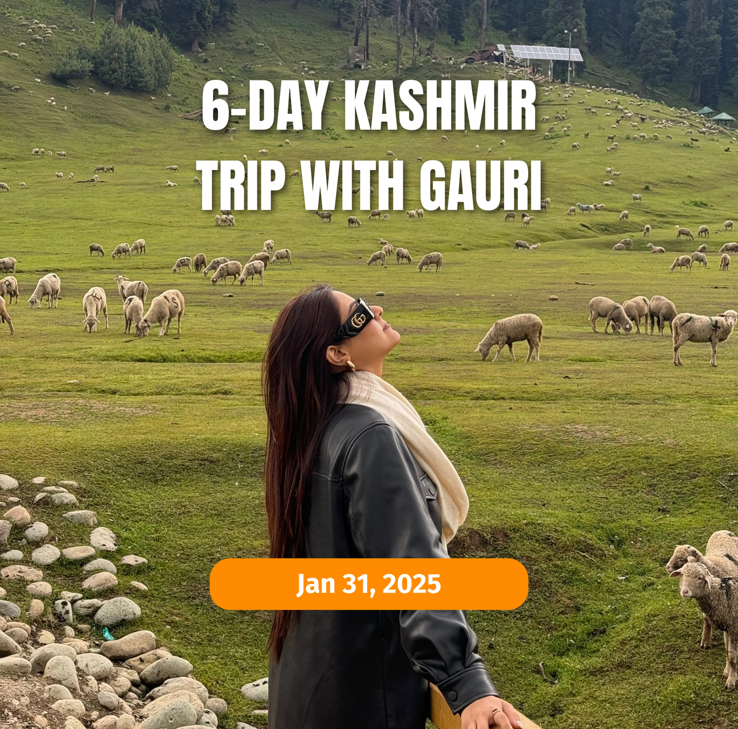 6-Day Kashmir Winter Trip with Gauri | January 31, 2025